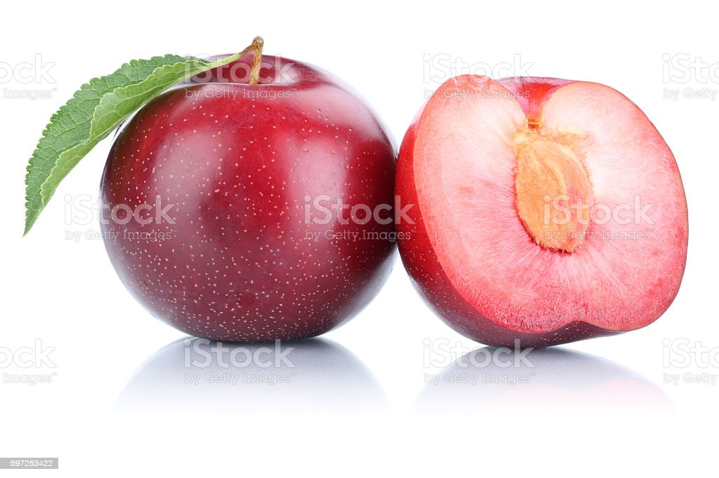 Detail Plum Fruit Images Nomer 41