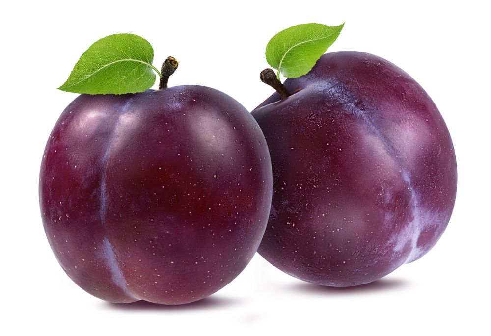 Plum Image - KibrisPDR