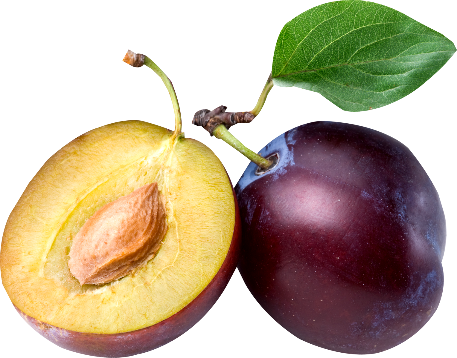 Plum Png - KibrisPDR