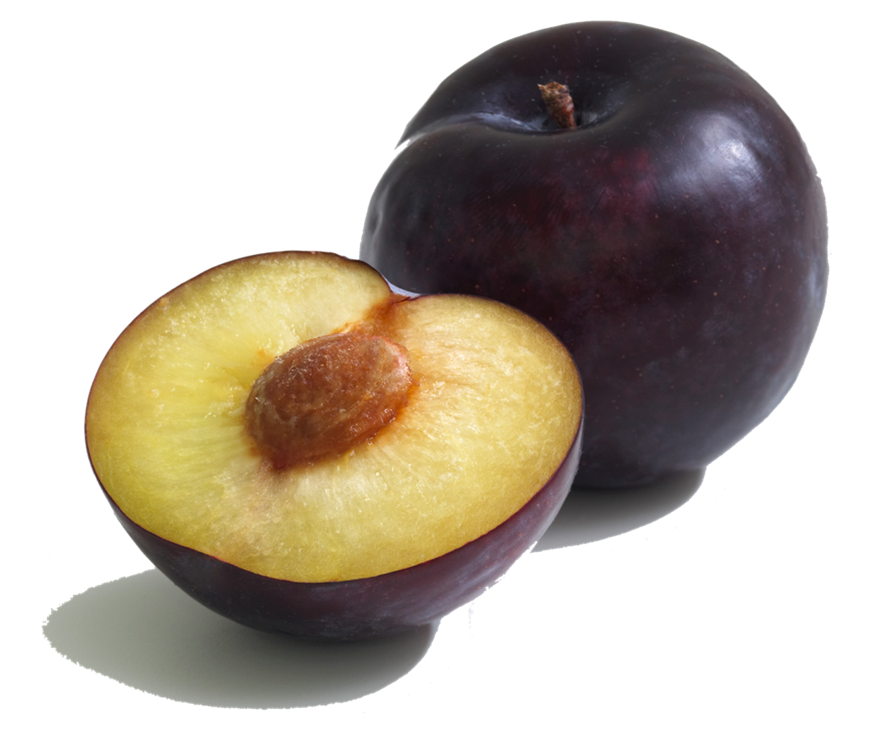 Plum Transparent - KibrisPDR