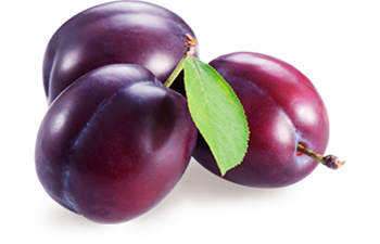 Detail Plums Png Nomer 2