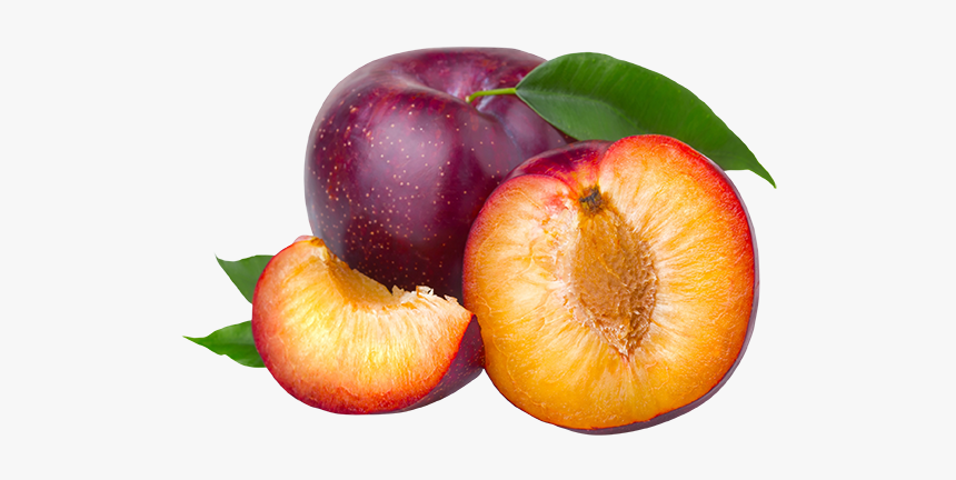 Detail Plums Png Nomer 7