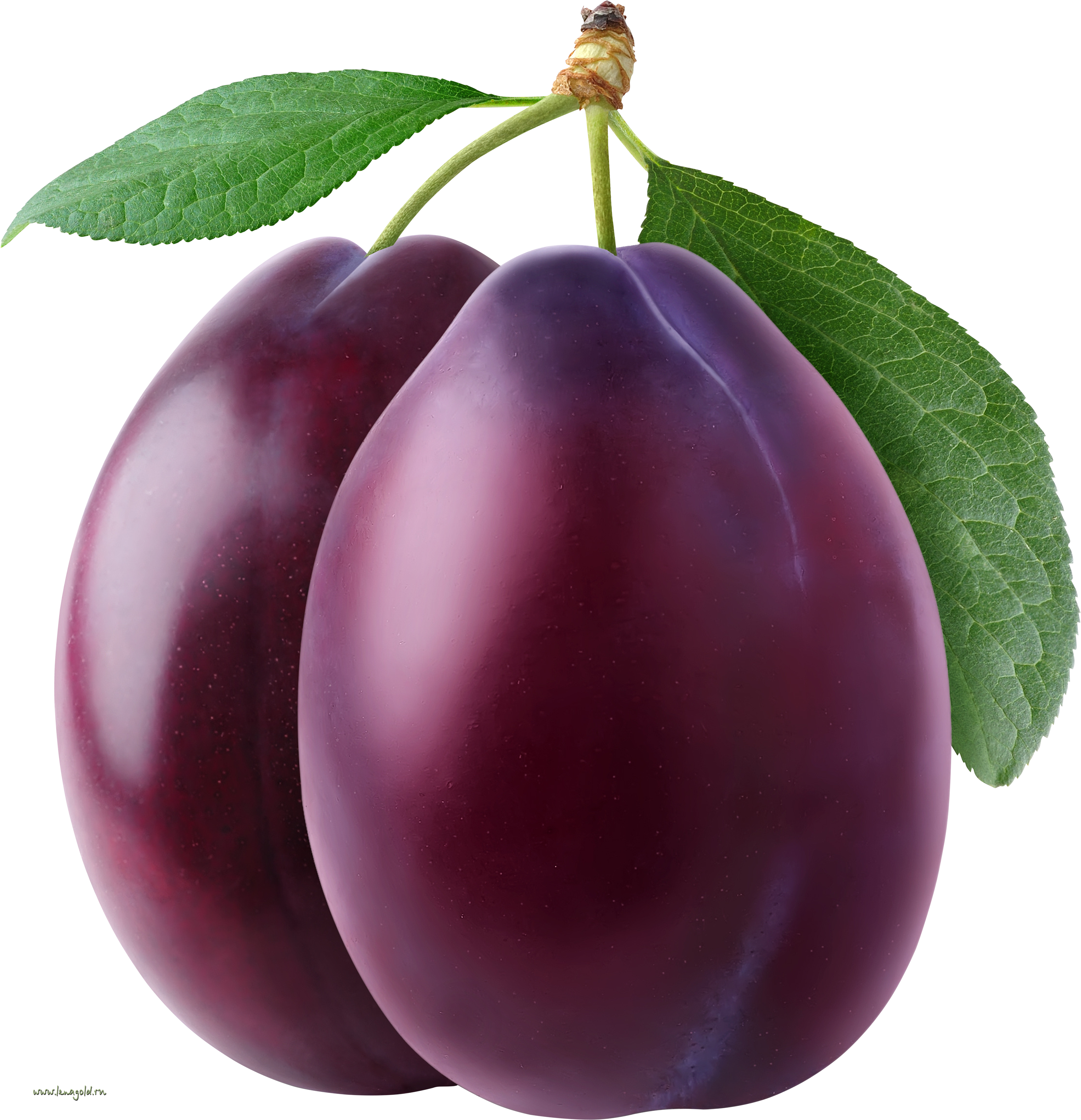 Detail Plums Png Nomer 9