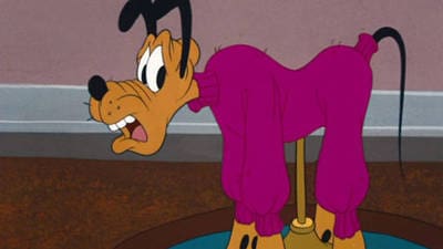 Detail Pluto From Disney Nomer 53