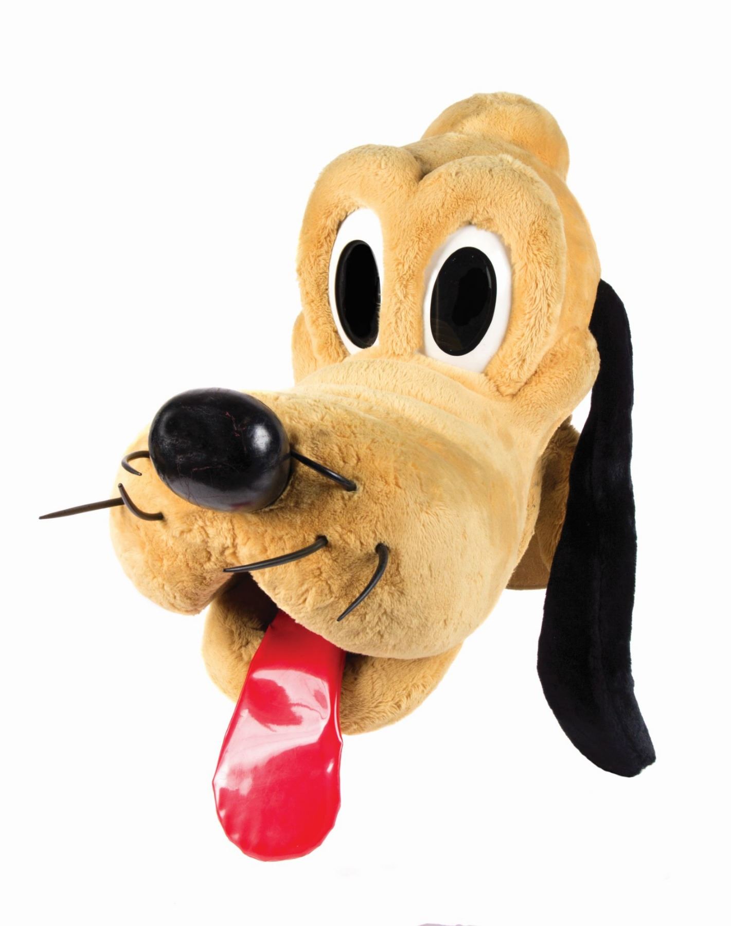 Detail Pluto Head Nomer 28