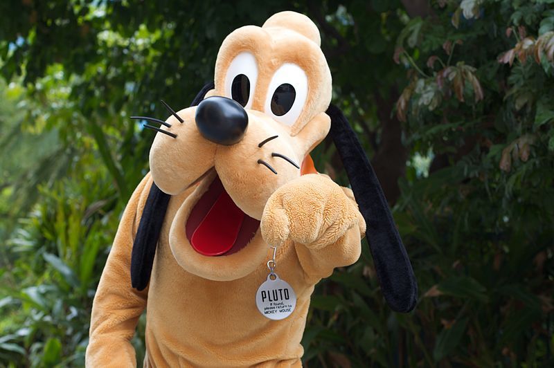 Detail Pluto Head Nomer 34