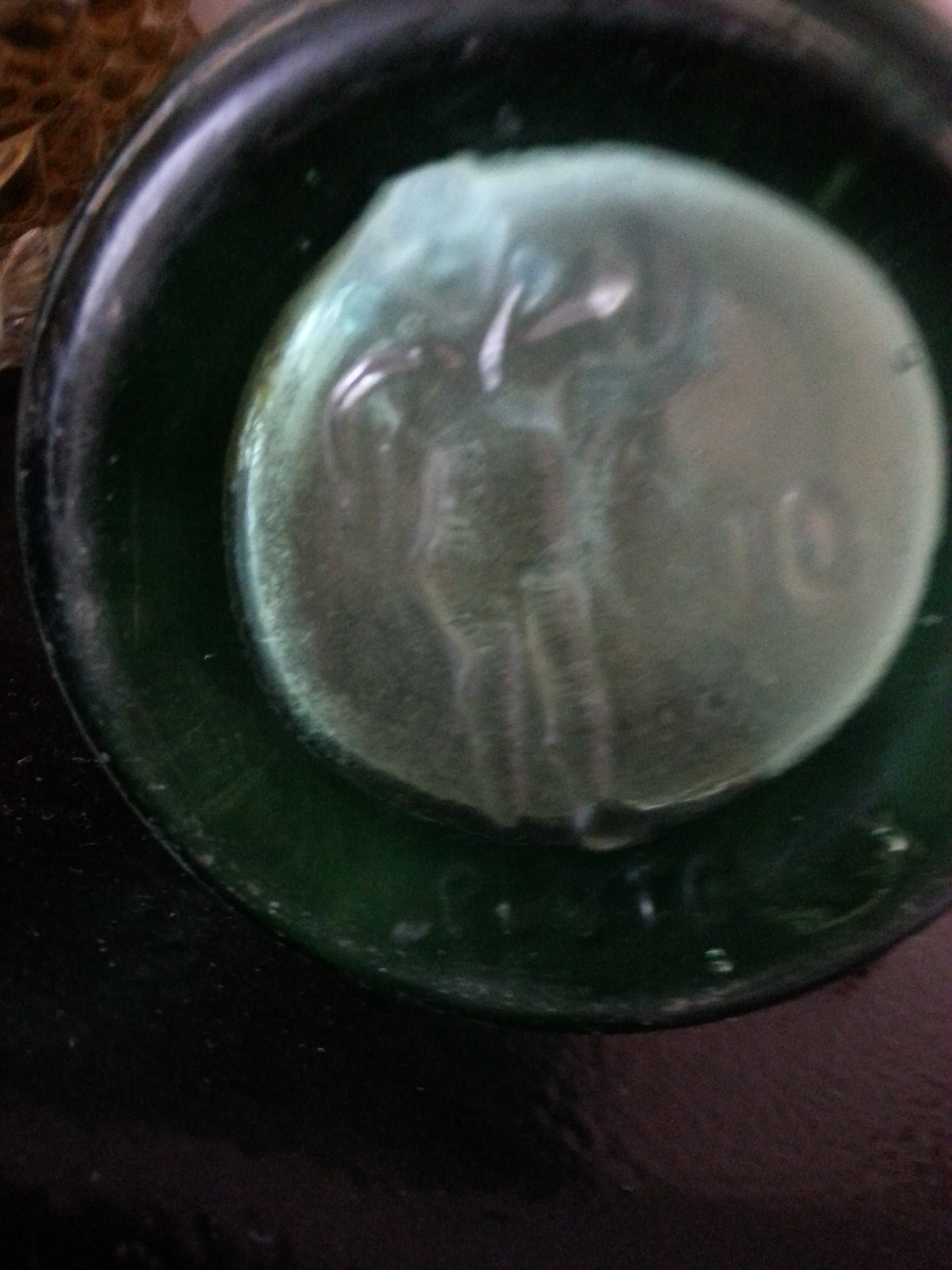 Detail Pluto Water Bottle Devil Nomer 42
