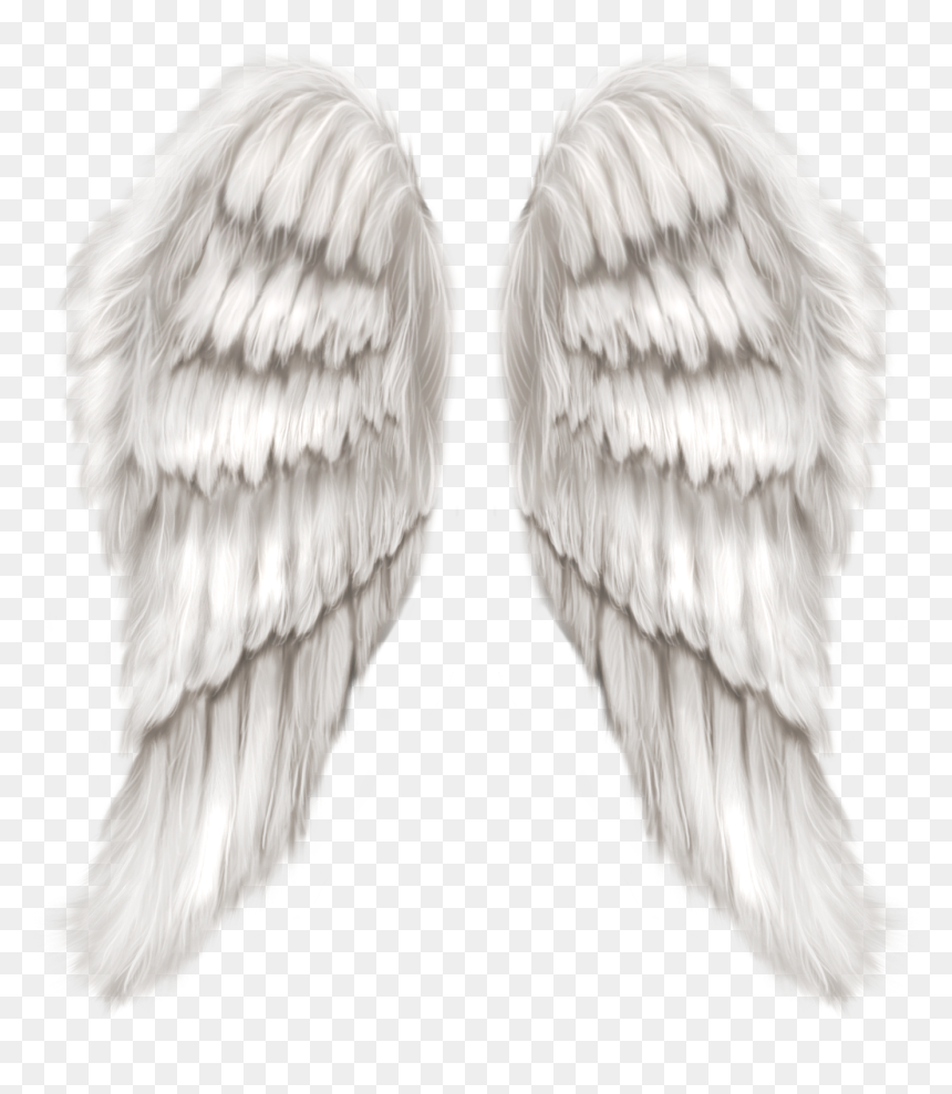Detail Png Angel Wings Nomer 14