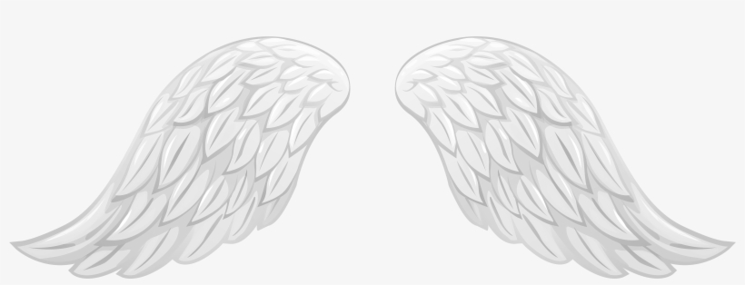 Detail Png Angel Wings Nomer 15