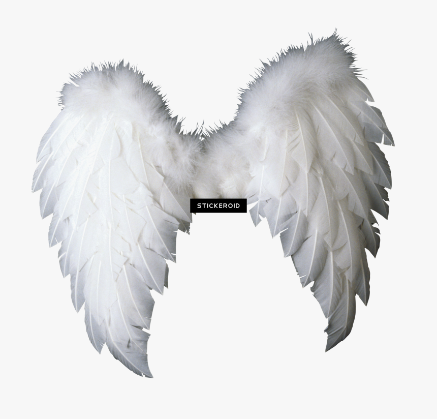 Detail Png Angel Wings Nomer 24