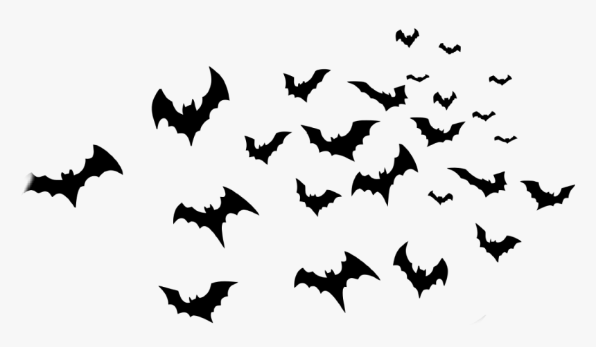 Detail Png Bats Nomer 3