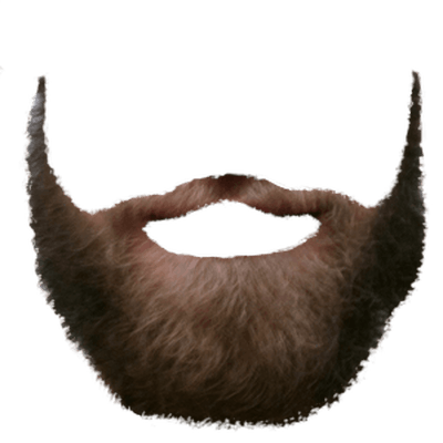 Detail Png Beard Nomer 44