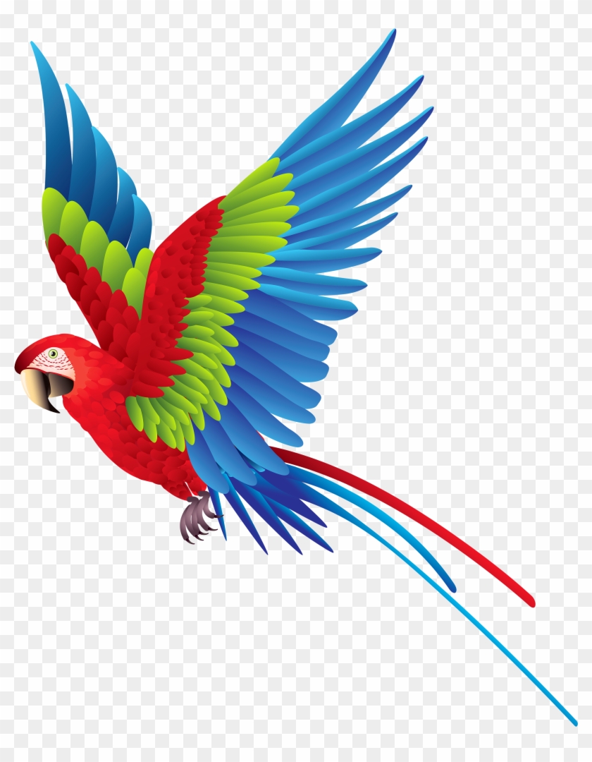 Detail Png Bird Nomer 33