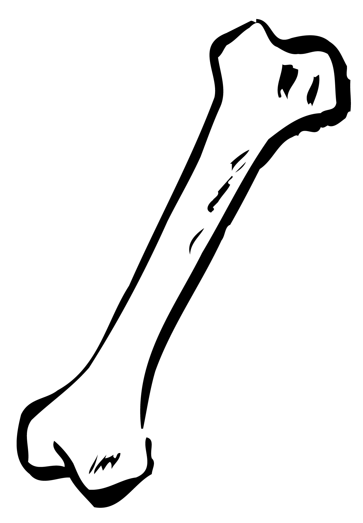 Detail Png Bones Nomer 8