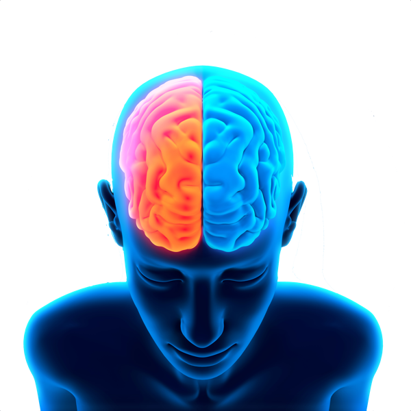 Detail Png Brain Nomer 23