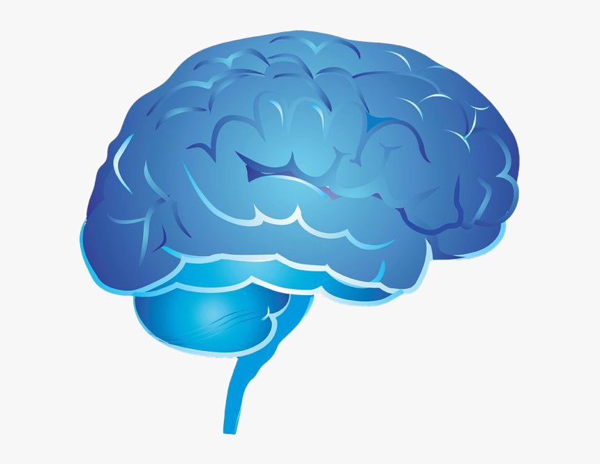 Detail Png Brain Nomer 29