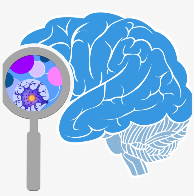 Detail Png Brain Nomer 33