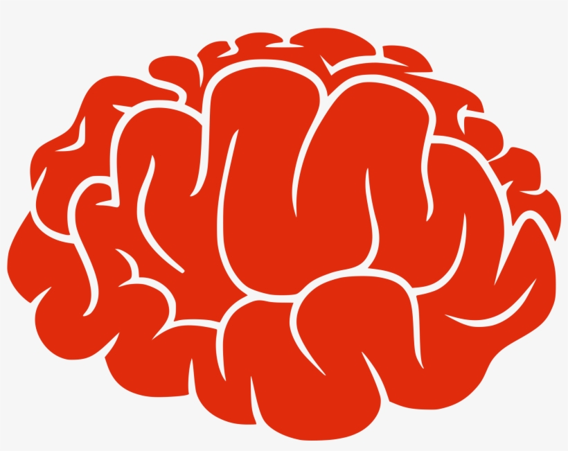 Detail Png Brain Nomer 37