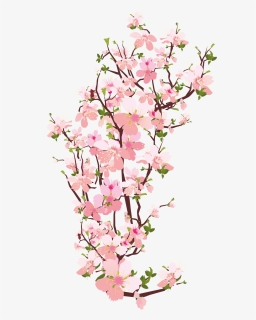 Download Png Bunga Sakura Nomer 15