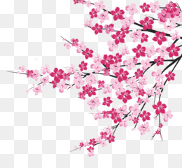 Detail Png Bunga Sakura Nomer 26