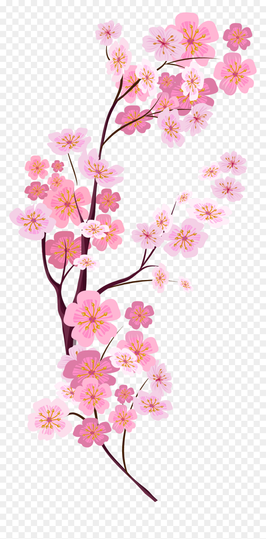 Detail Png Bunga Sakura Nomer 6