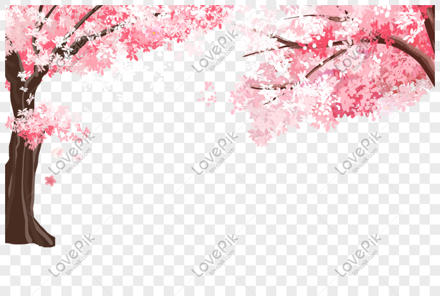 Detail Png Bunga Sakura Nomer 39