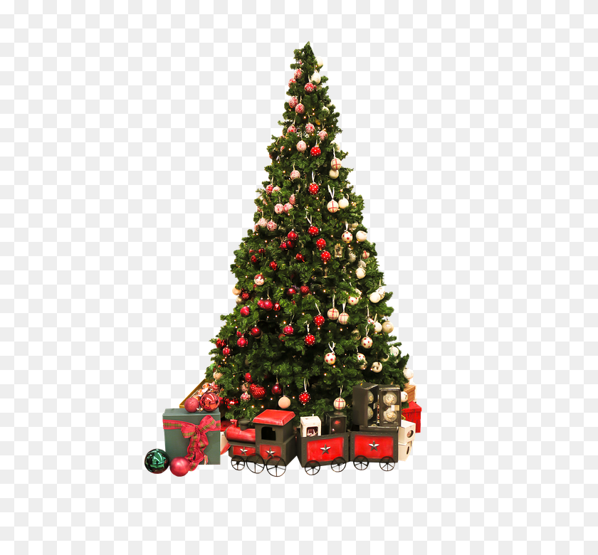 Detail Png Christmas Tree Nomer 9