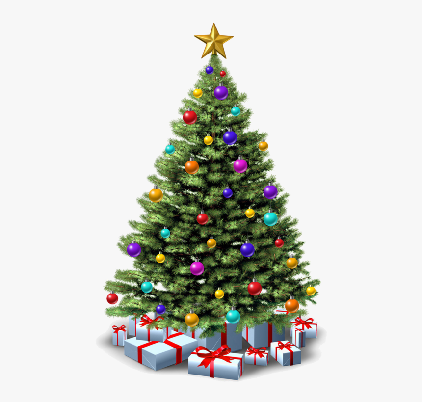 Detail Png Christmas Tree Nomer 15