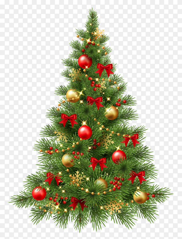 Detail Png Christmas Tree Nomer 2