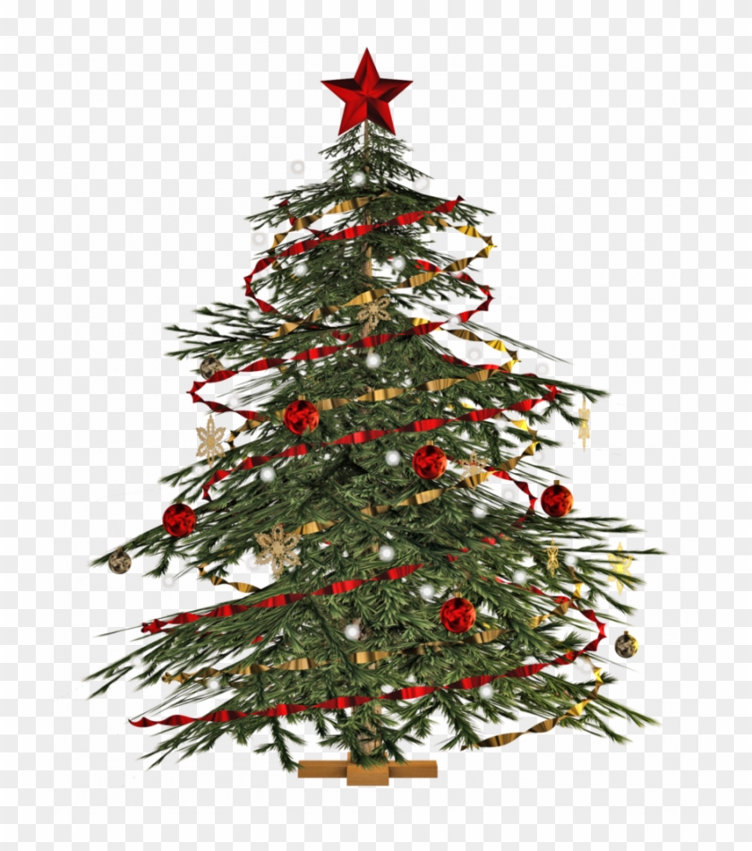 Detail Png Christmas Tree Nomer 25