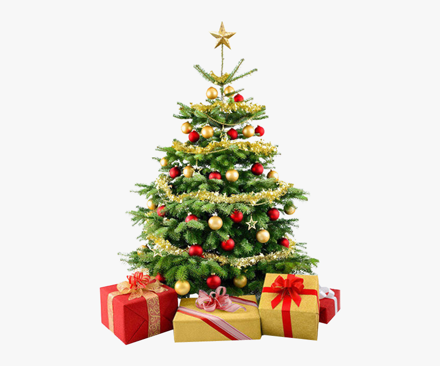 Detail Png Christmas Tree Nomer 28