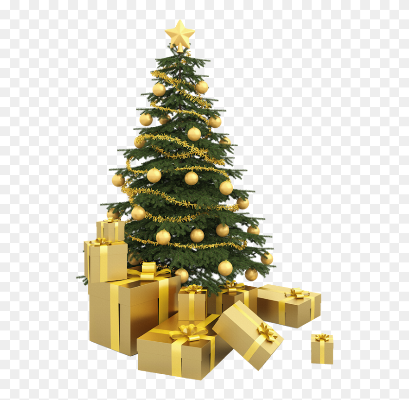 Detail Png Christmas Tree Nomer 43