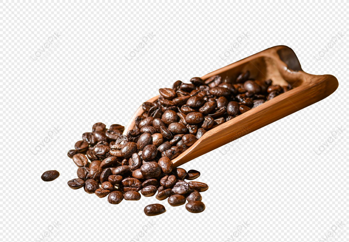 Detail Png Coffee Beans Nomer 11