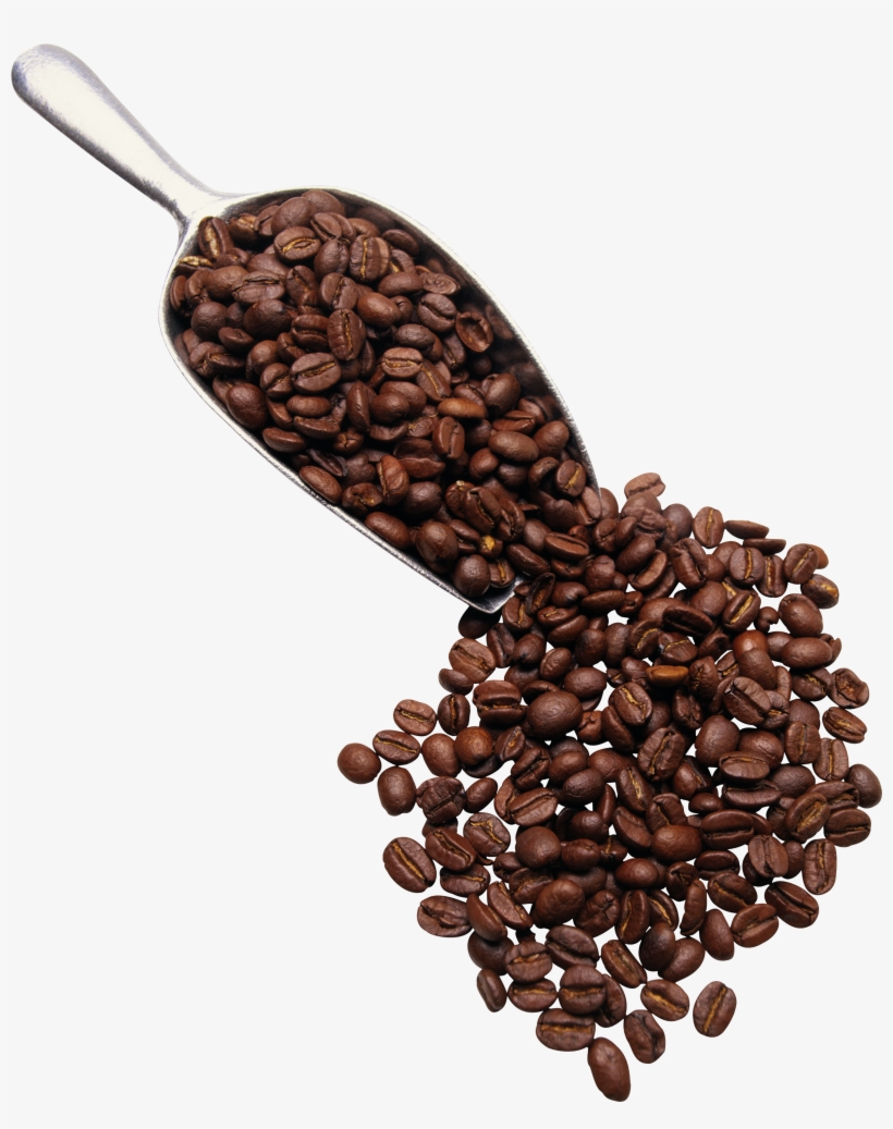 Detail Png Coffee Beans Nomer 35