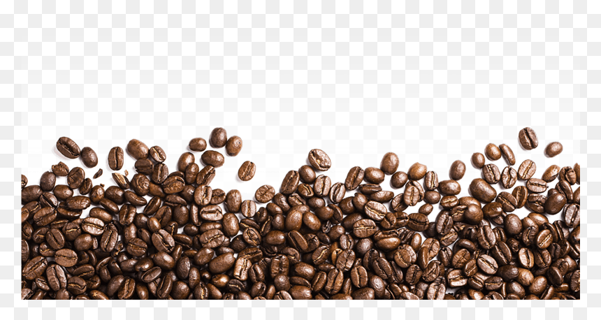 Detail Png Coffee Beans Nomer 38