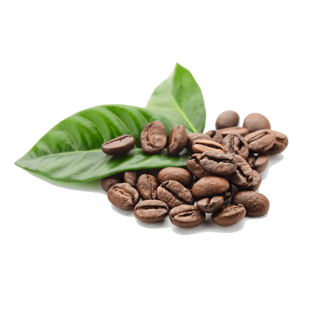 Detail Png Coffee Beans Nomer 52