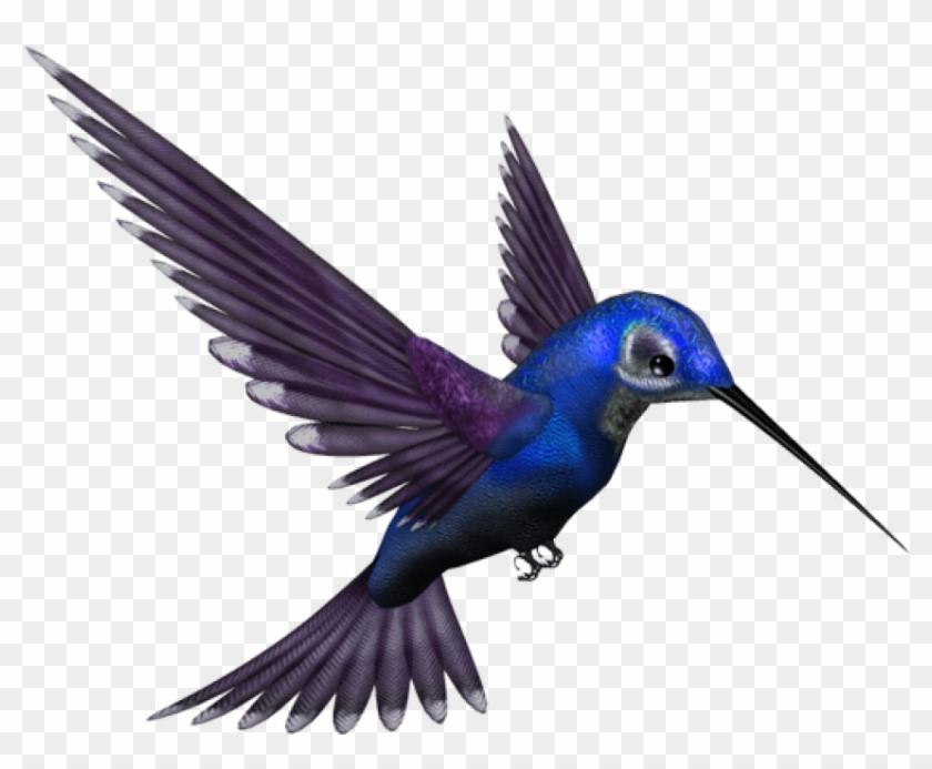 Png Com - KibrisPDR