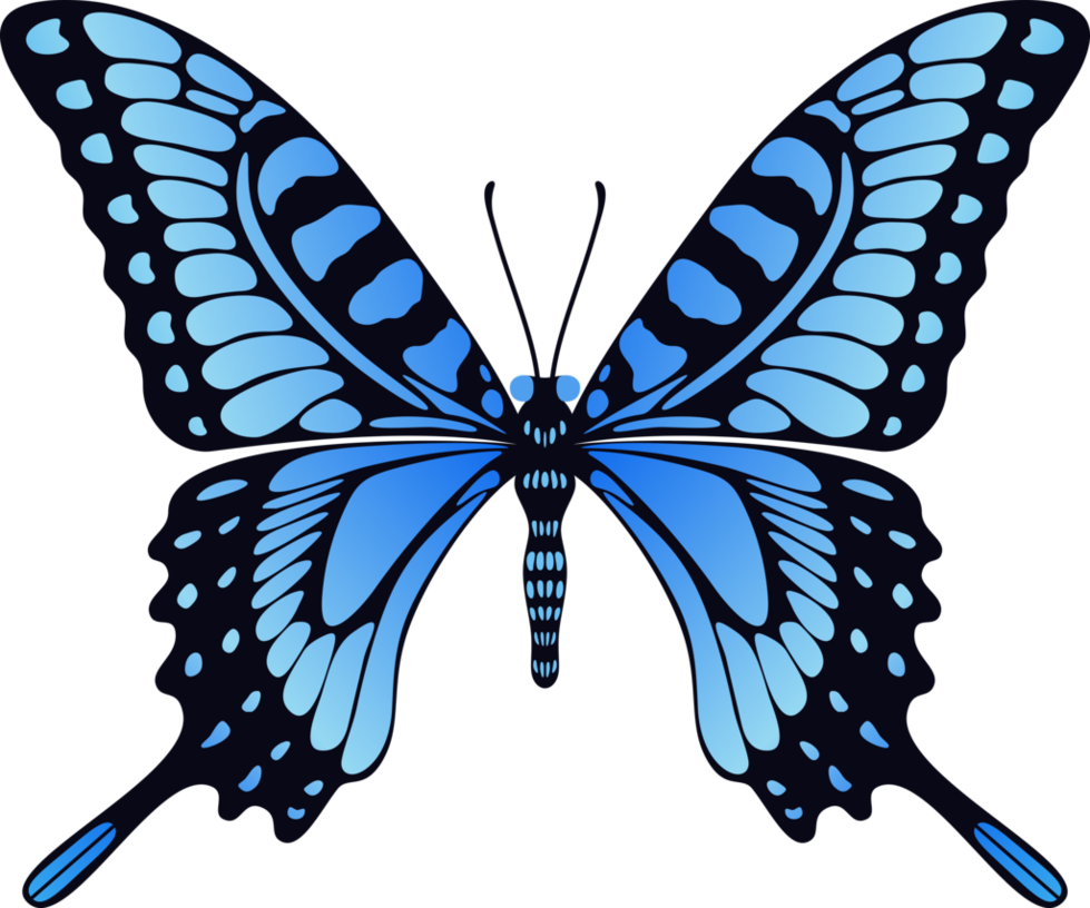 Detail Png Com Nomer 31