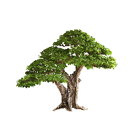 Detail Png Com Image Nomer 35