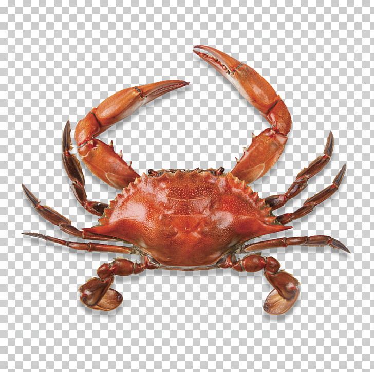 Detail Png Crab Nomer 9