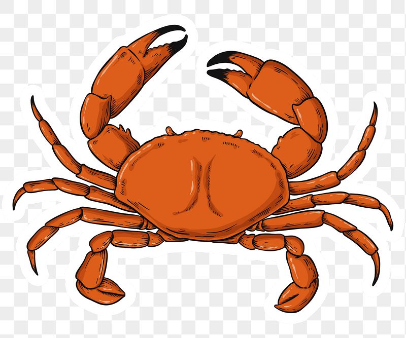 Detail Png Crab Nomer 17