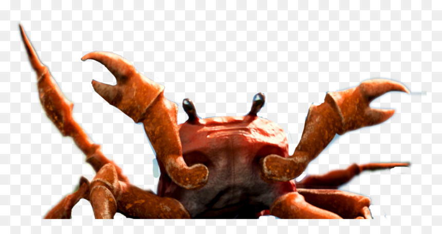 Detail Png Crab Nomer 40