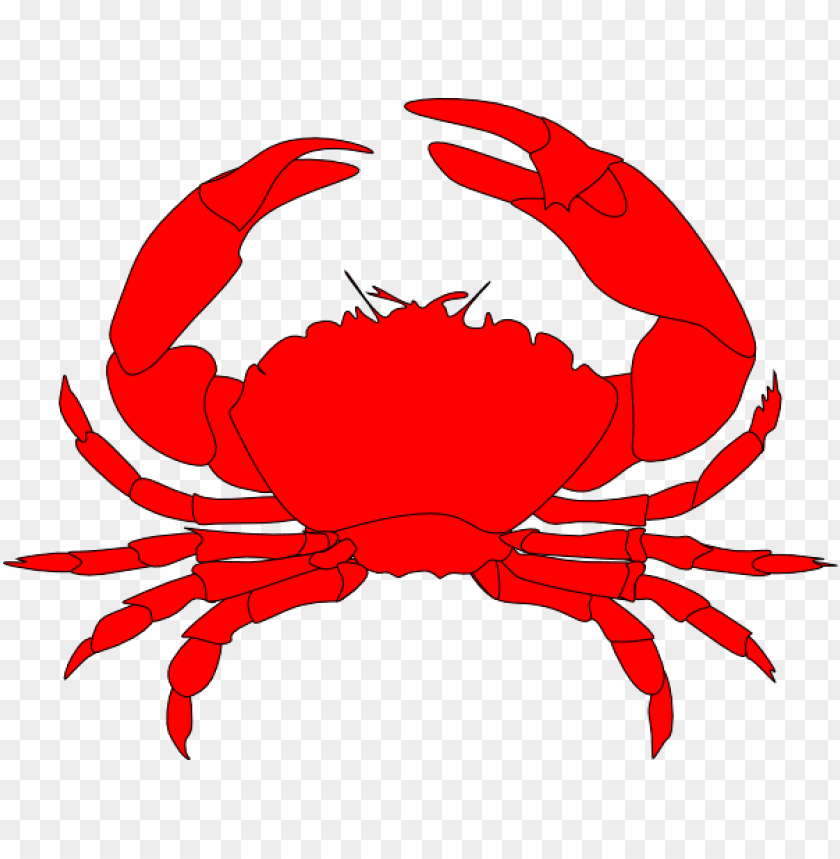 Detail Png Crab Nomer 43