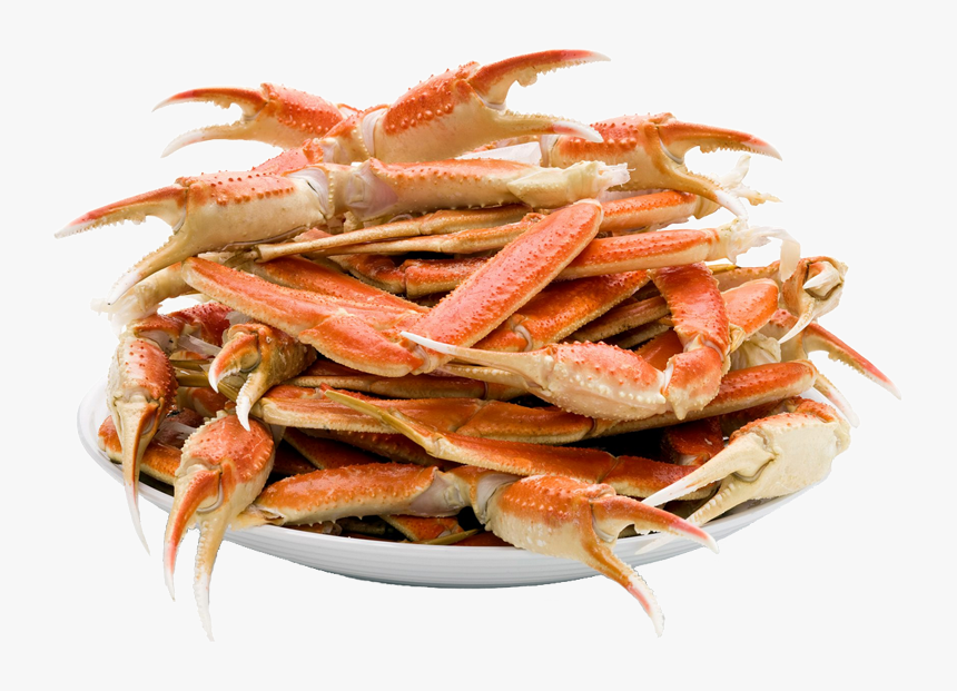 Detail Png Crab Nomer 46