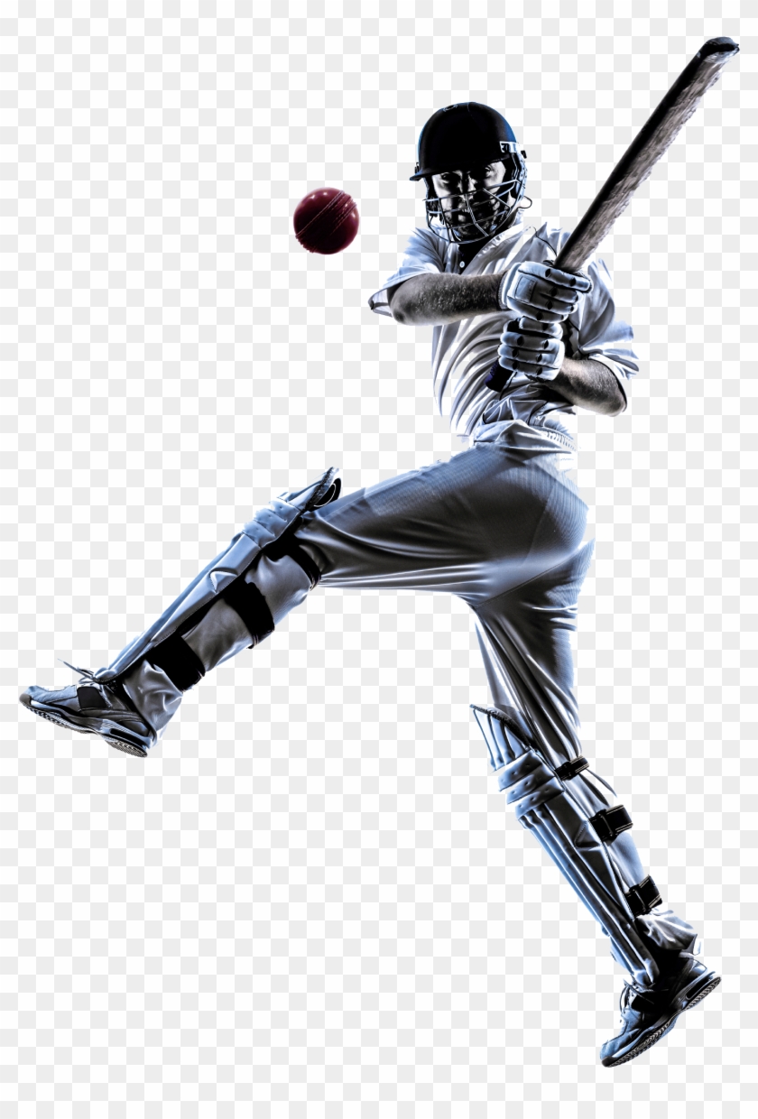 Detail Png Cricket Nomer 22