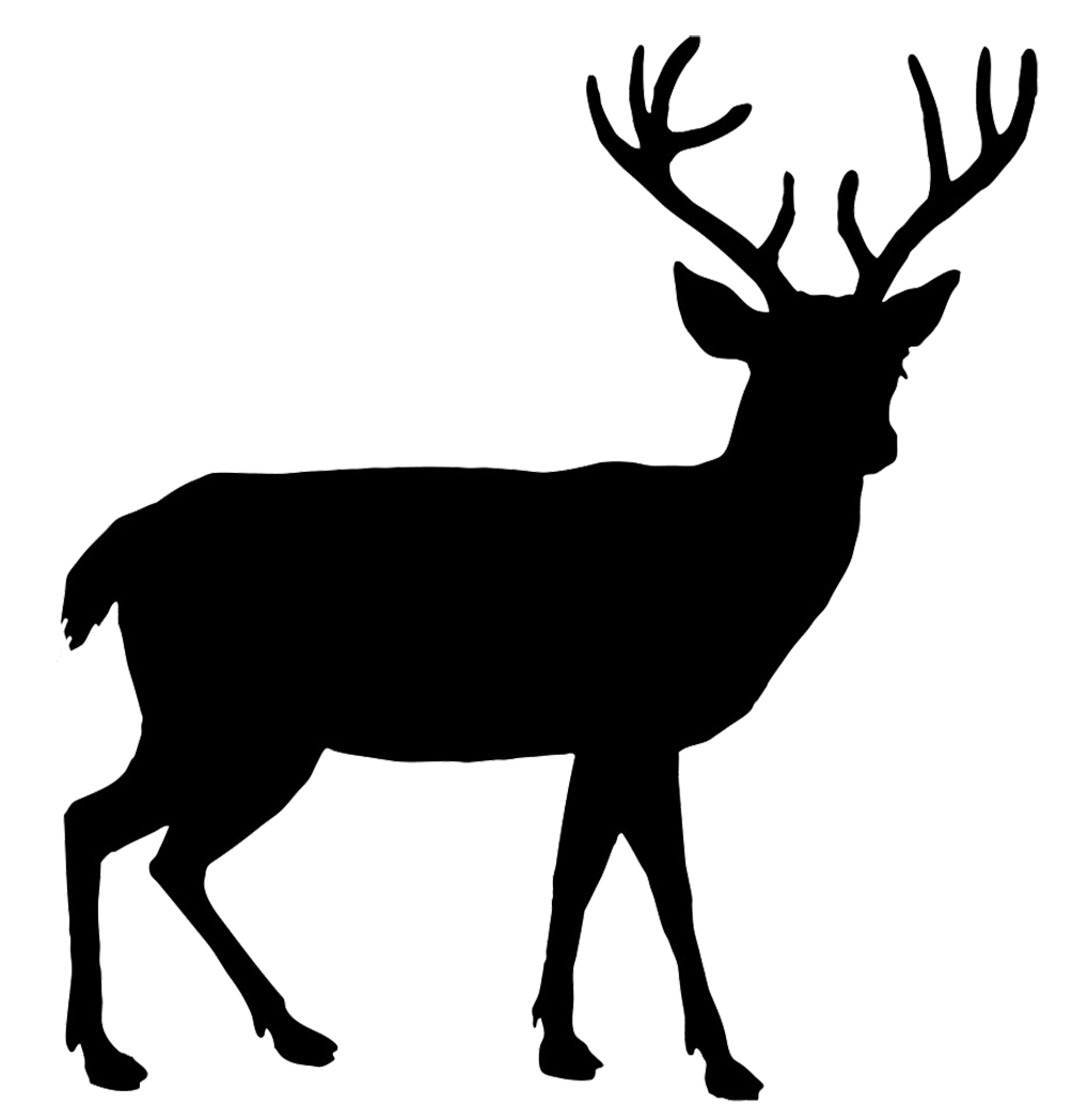 Detail Png Deer Nomer 20