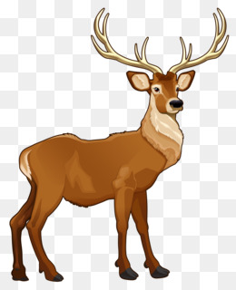 Detail Png Deer Nomer 31