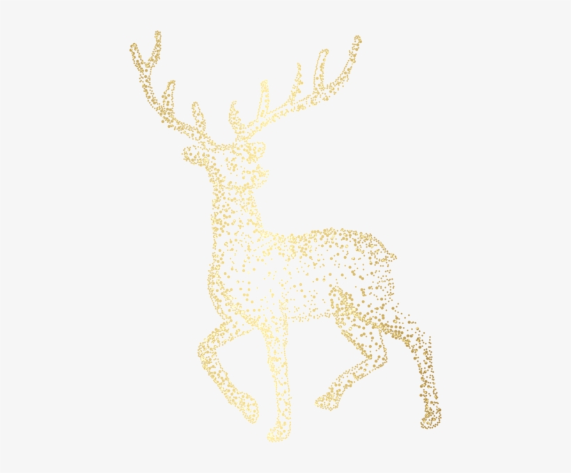 Detail Png Deer Nomer 39