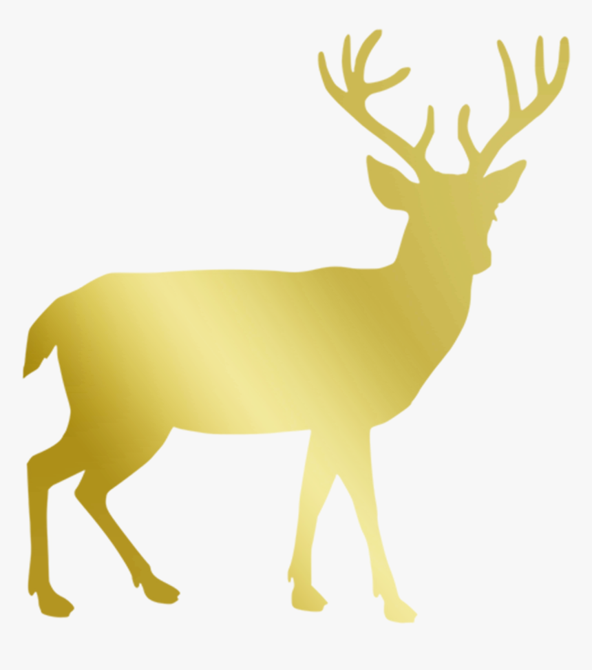 Detail Png Deer Nomer 40