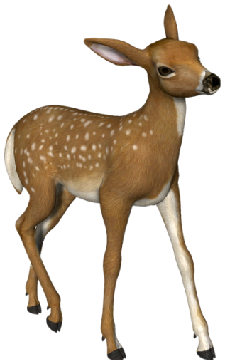 Detail Png Deer Nomer 46